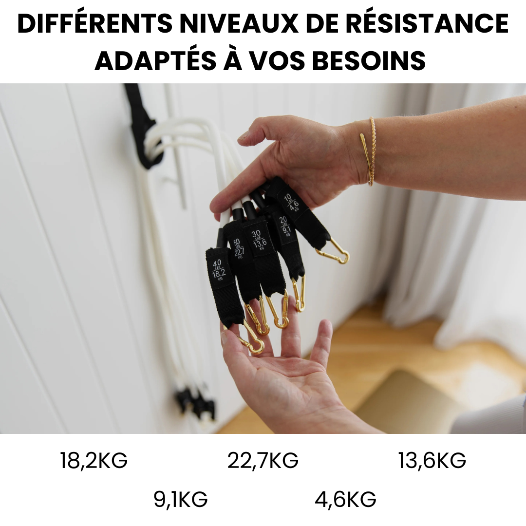 Evo Pilate™ - Pilates Motion